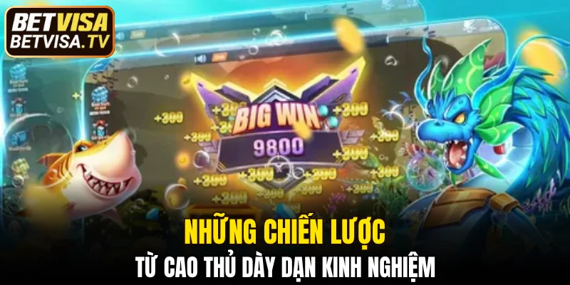Những chiến lược từ cao thủ dày dạn kinh nghiệm