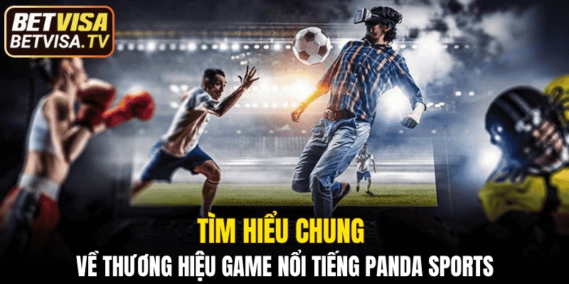 Tìm hiểu chung về thương hiệu game nổi tiếng Panda Sports